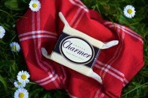 sussex charmer cheese on a picnic table.jpg