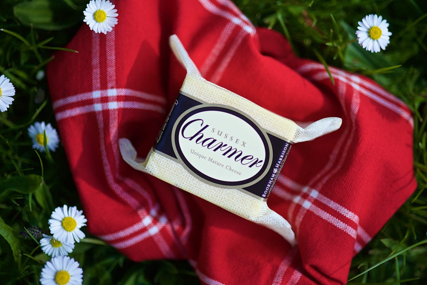 sussex charmer cheese on a picnic table.jpg
